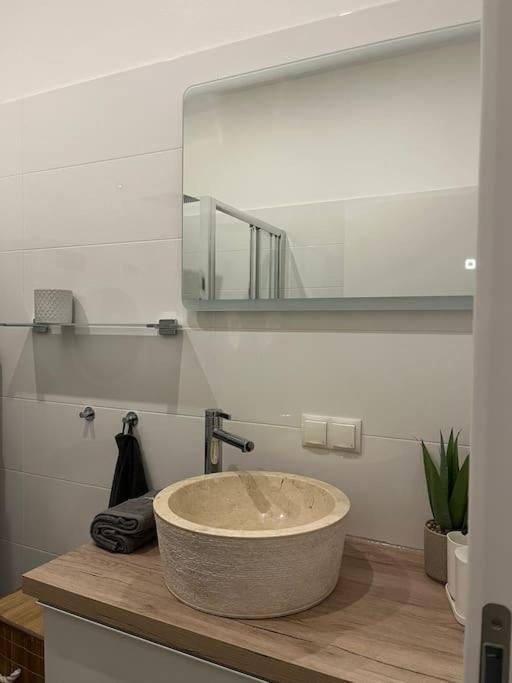 New Design Wohnung-Wien Dış mekan fotoğraf
