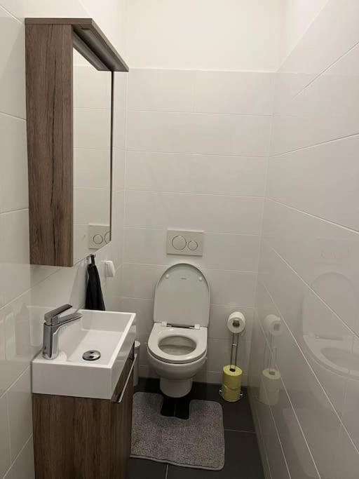 New Design Wohnung-Wien Dış mekan fotoğraf
